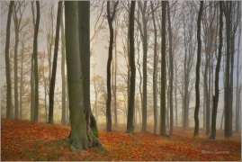 <p>Šluknovsko - Kráílovství</p>
